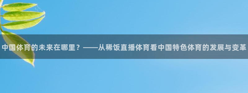 51视频在线直播nba：中国体育的未来在哪里？——从稀饭直播体育看中国特色体育的发展与变革