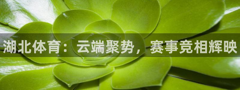 51视频在线直播nba：湖北体育：云端聚势，赛事竞相辉映