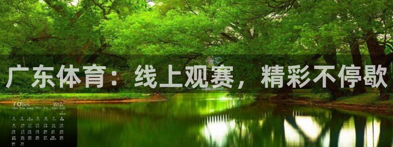 51视频在线直播nba：广东体育：线上观赛，精彩不停歇