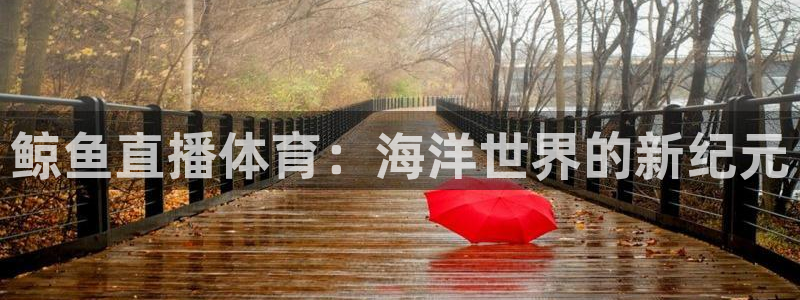 51视频在线直播nba：鲸鱼直播体育：海洋世界的新纪元