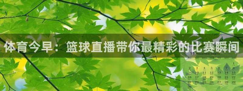51视频在线直播nba：体育今早：篮球直播带你最精彩的比赛瞬间