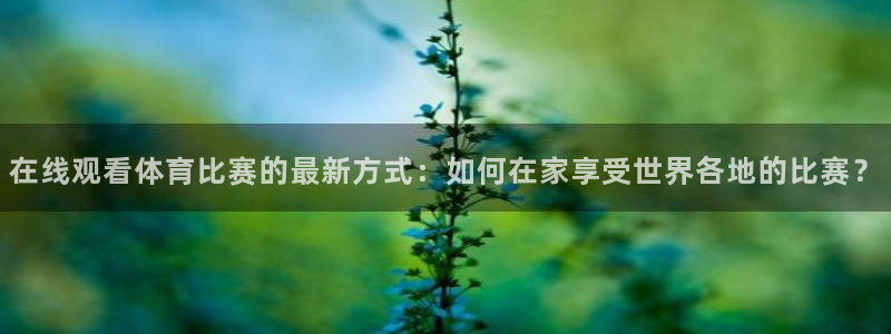 51视频在线直播nba：在线观看体育比赛的最新方式：如何在家享受世界各地的比赛？