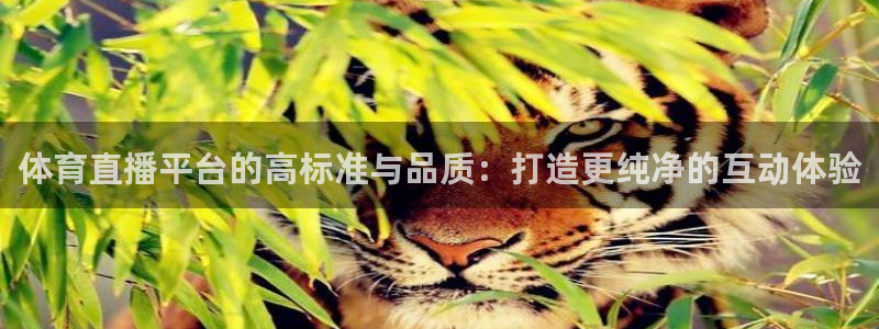 51视频在线直播nba：体育直播平台的高标准与品质：打造更纯净的互动体验
