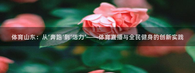 51视频在线直播nba：体育山东：从‘奔跑’到‘活力’——体育直播与全民健身的创新实践