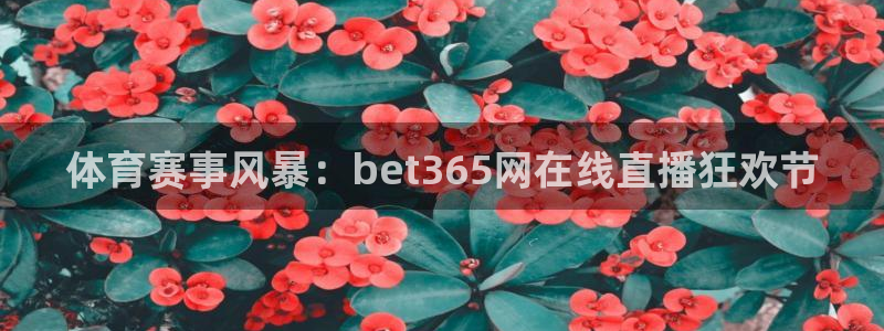 51视频在线直播nba：体育赛事风暴：bet365网在线直播狂欢节